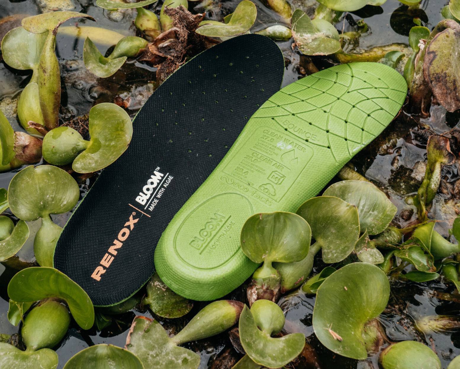 ¿Zapatos fabricados con compuesto de algas? Aquí te contamos como lo logramos